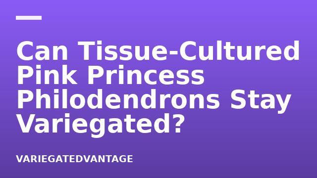 Can Tissue-Cultured Pink Princess Philodendrons Stay Variegated?